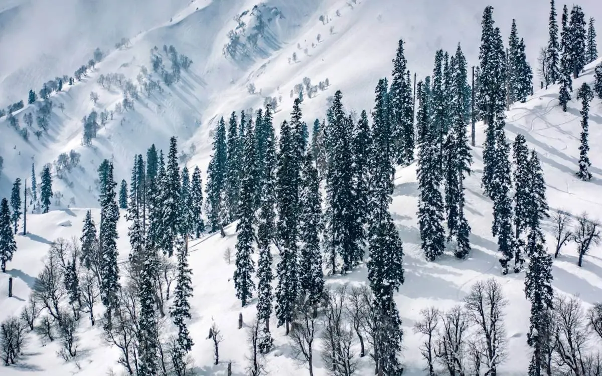 Kashmir holiday