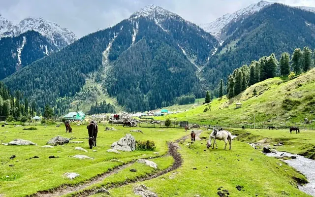 Kashmir holiday